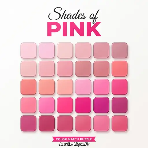 Shades Of Pink Icon